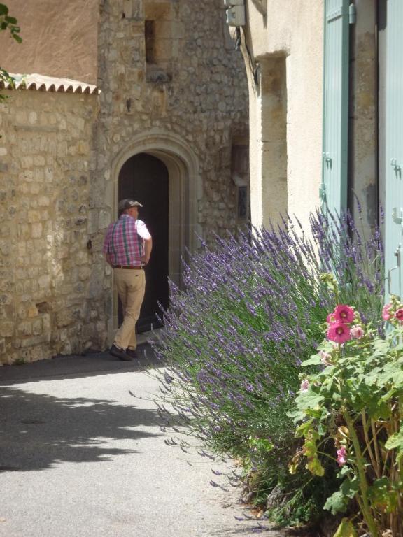 Hotel Les Arcades Le Lion D'Or Buis-les-Baronnies Zewnętrze zdjęcie